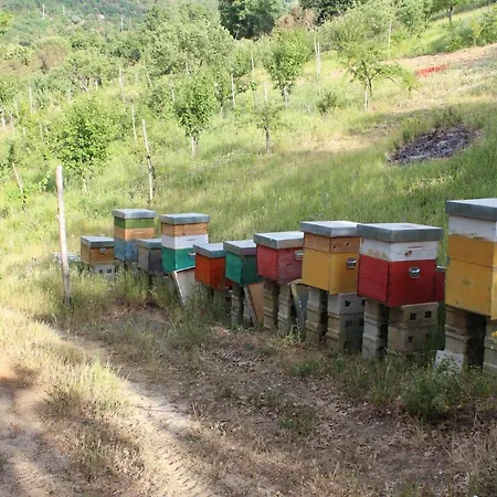 Отель типа 