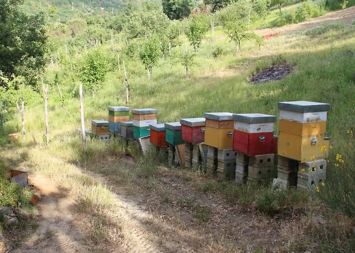 住宿加早餐酒店 Il Campanile 佩尔迪富莫